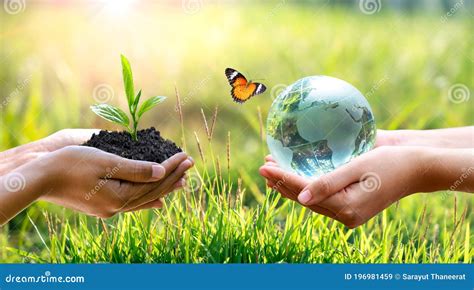 World Environment Day Two Human Hand Protect Earth Globe Save Earth