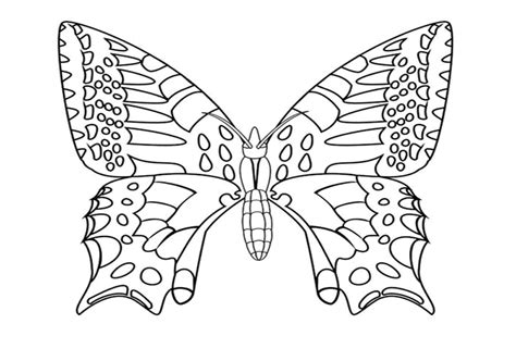 110 Dessins De Coloriage Papillon à Imprimer Sur Page 4