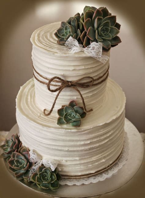 Delanas Cakes Rustic Wedding Cake With Succulents