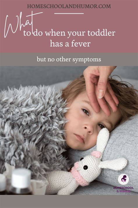 What I Do When My Toddler Has A Fever But No Other Symptoms