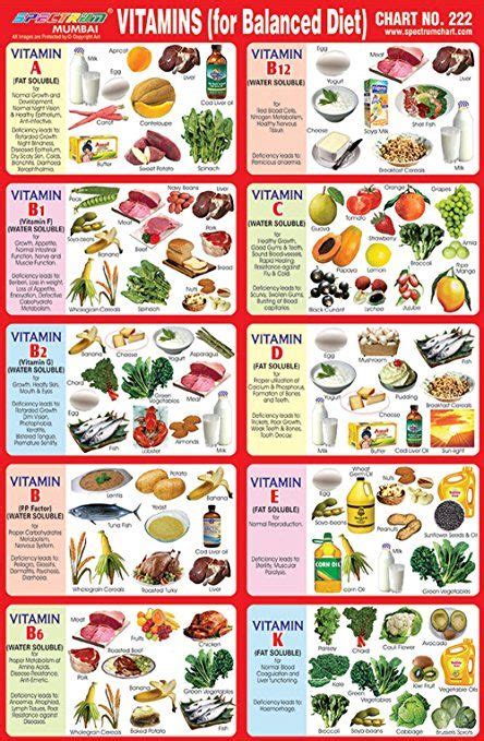 Image result for balanced diet chart for school project ...