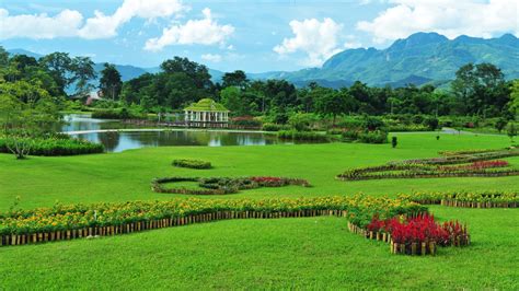 Inside Chinas Largest Tropical Botanical Garden Cgtn