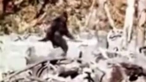 Hunting Bigfoot Does The Creature Exist In Indiana Fox 59