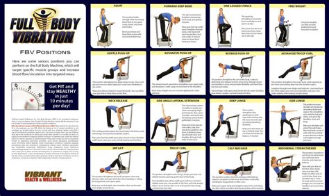 Image Result For Vibration Plate Exercises Vibration Plate Exercises