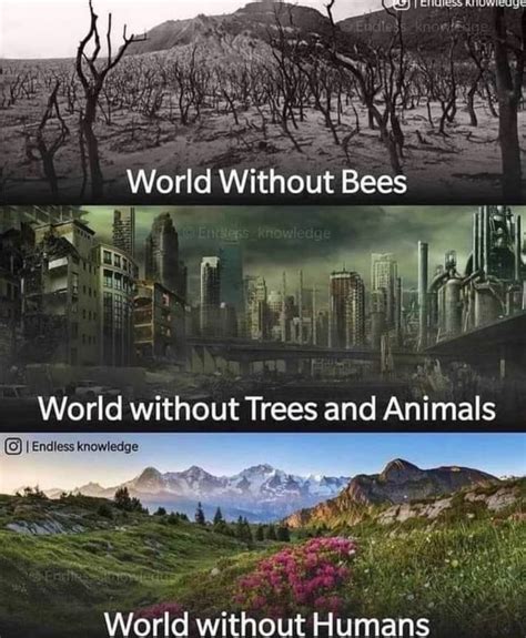World Without Bees World Without Humans World Without Trees And Animals