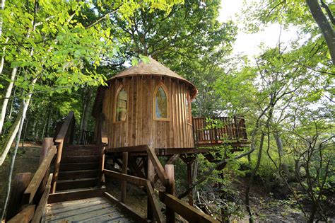How To Live In A Treehouse | Quality Unearthed