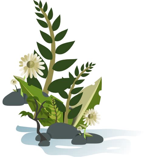 Green Plant Clip Art At Vector Clip Art Online