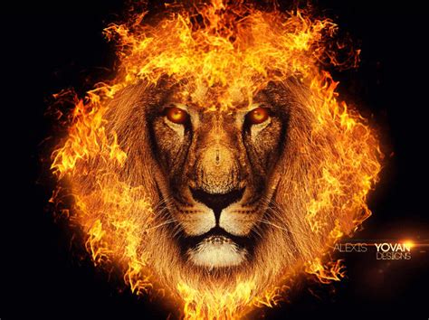 The Fire Lion By Designsalex On Deviantart