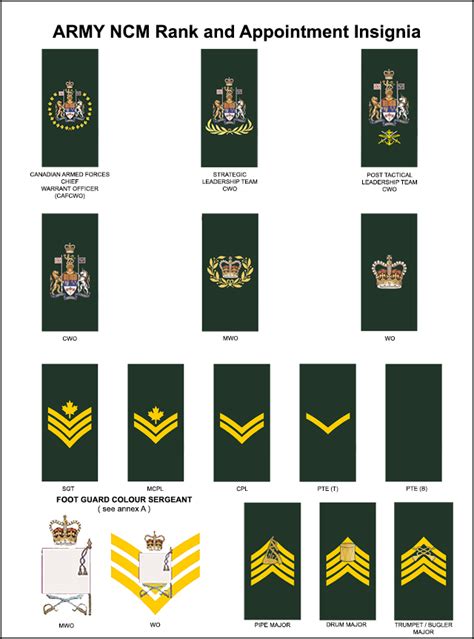 Dress Instructions Section 2 Rank Insignia And Appointment Badges