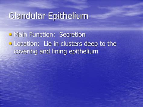 Ppt Glandular Epithelium Powerpoint Presentation Free Download Id
