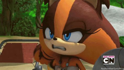 Sticks In Heat Sonic The Hedgehog Know Your Meme