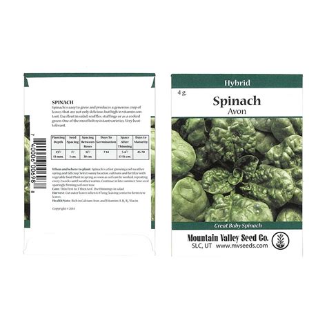 Avon Hybrid Spinach Garden Seeds 4 G Pkg Non Gmo Vegetable Garden