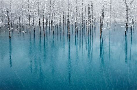 Blue Pond And First Snow By Kent Shiraishi 50 Mind Blowing Examples Of