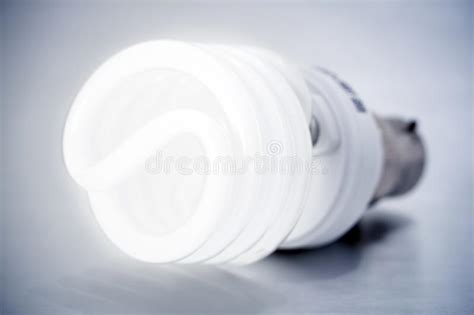 Cfl Light Bulb Stock Photo Image Of Glows Bulb Fluorescent 16035748