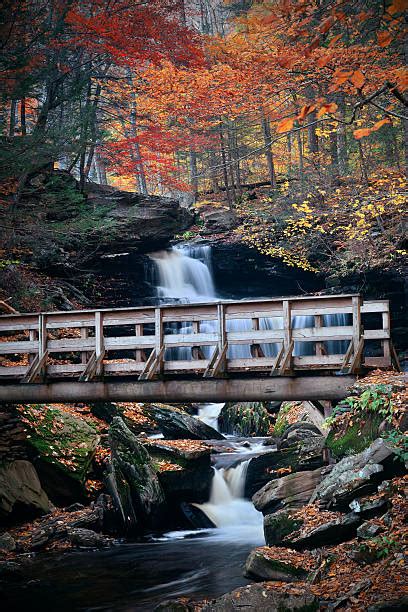 900 Ricketts Glen State Park Stock Photos Pictures And Royalty Free