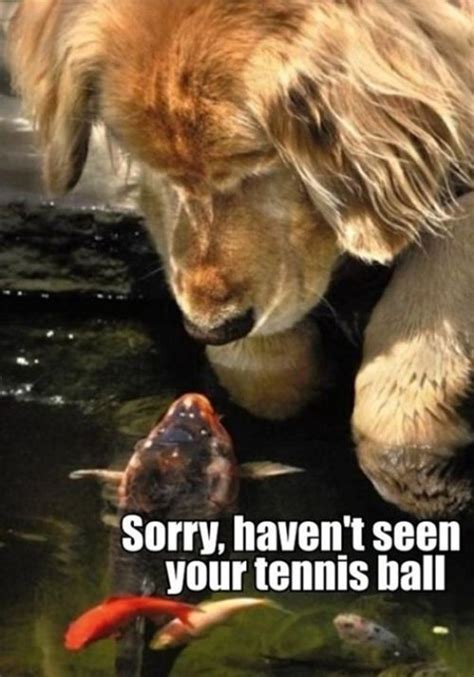 30 Funny Animal Captions 30 Pics Amazing Creatures