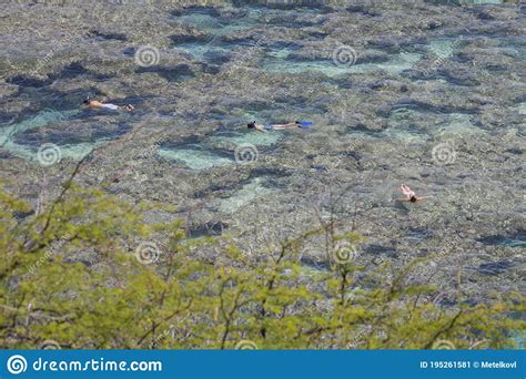 Snorkeling In Hanauma Bay Oahu Hawaii Editorial Photo Image Of