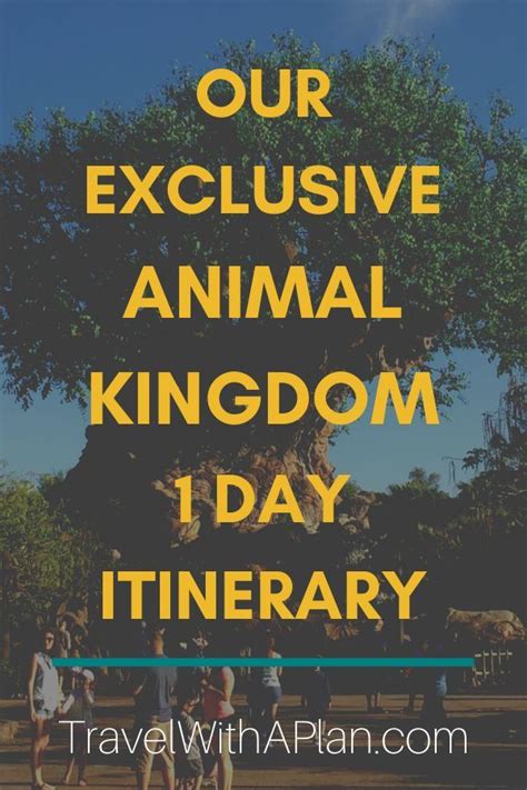 1 Day Animal Kingdom Itinerary For 2023 Travel With A Plan Animal