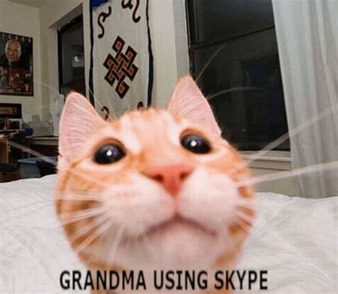 Grandma Using Skype Rcatmemes