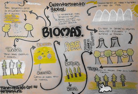 Biomas Do Mundo Mapa Mental SOLOLEARN