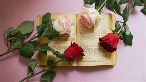 Wallpaper Rose Flowers Book Pages Aesthetics Hd Widescreen High