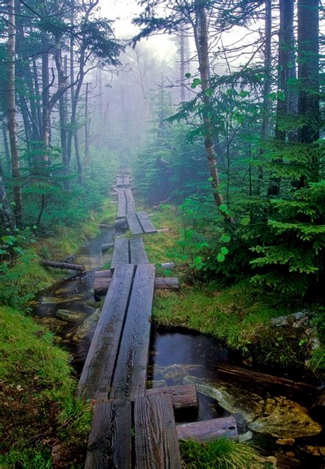 The Long Trail Vermont Photo By Patrick Zephyr Source