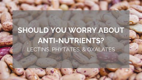 Should You Worry About Anti Nutrients — Priceless Nutrition And Wellness