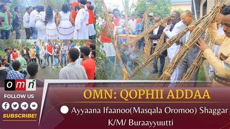 Omn Qophii Addaa Ayyaana Ifaanoomasqala Oromoo Shaggar Km