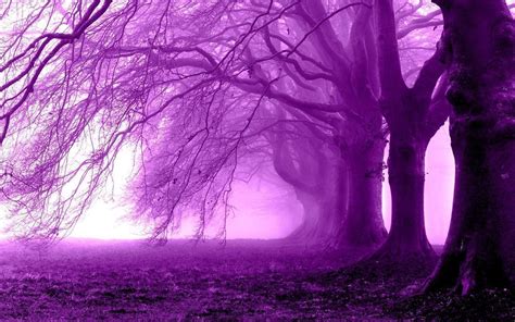 Purple Tree Wallpapers Wallpaper Cave