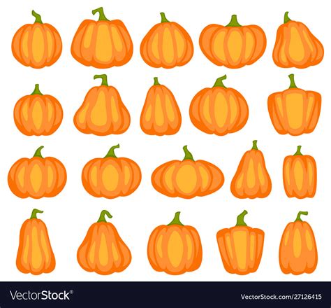 Cartoon Pumpkin Different Shapes And Sizes Vector Image