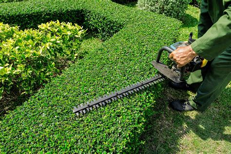 Choosing The Best Equipment For Hedging Au