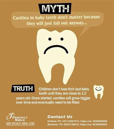 Myth And Fact On Dental Care Dental Fun Facts Dental Facts Dental