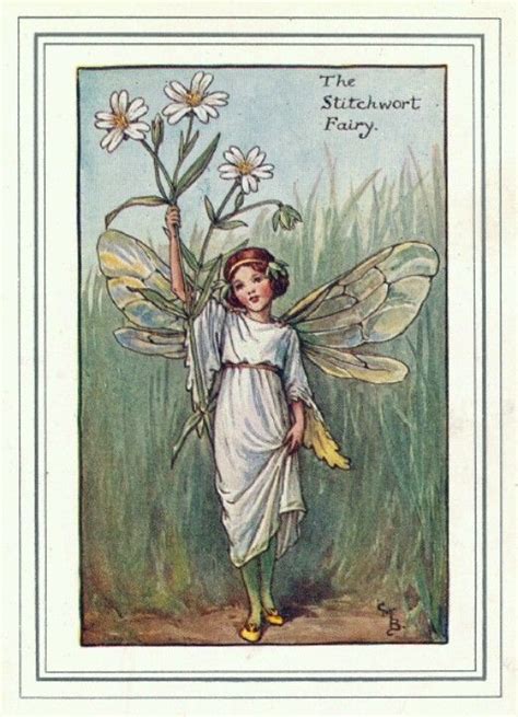 The Stitchwort Fairy Cmb Cicely Mary Barker Flower Fairies Books