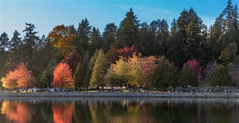 The Best Places To See Fall Leaves In And Around Vancouver Curated