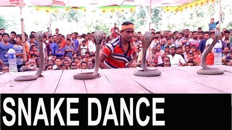 Amazing Snake Dance Snake Music Played By Snake Charmer Charmer