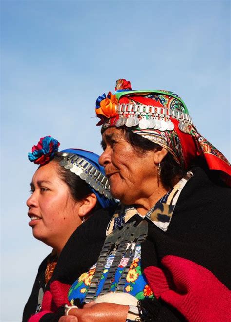 Pin En Mapuches