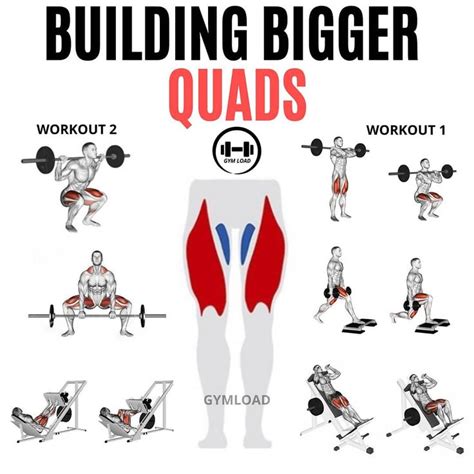 Can We Help You Shape Your Quads Most Definitely Use This Strong 5