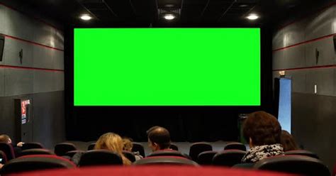 Audience Looking At Green Screen In Cinema Hall Spectators Watching