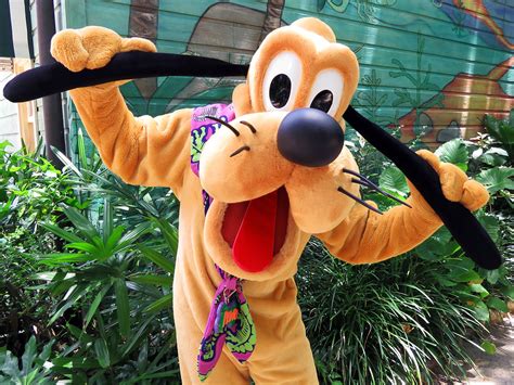 Pluto Dinoland Usa Disneys Animal Kingdom Meeko Flickr