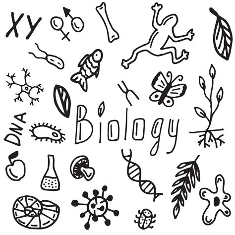 Set Of Biology Style Doodle 7225520 Vector Art At Vecteezy