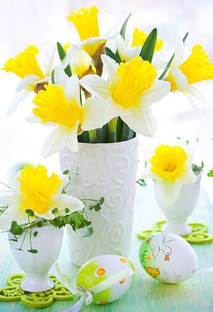 Easter Daffodils