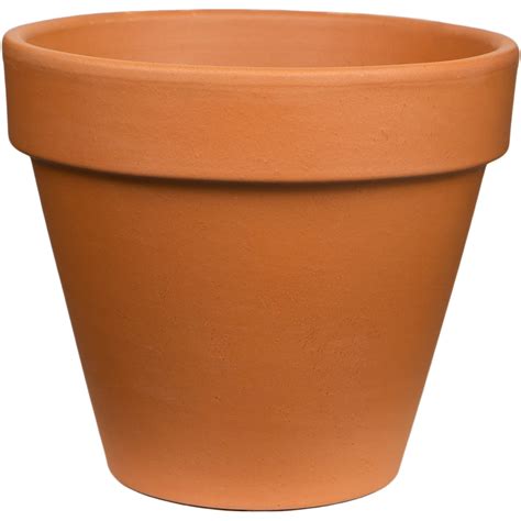 Pennington 12&rdquo; Terra Cotta Clay Standard Pot or Planter with Drainage