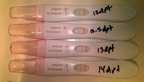 What Does A Positive Pregnancy Test Really Look Like