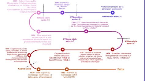 Frise de la construction de la théorie cellulaire