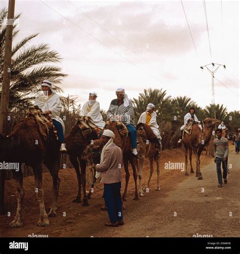 Ein Kamelritt Durch Die Oase Nefta Tunesien 1970er Jahre A Camel Ride