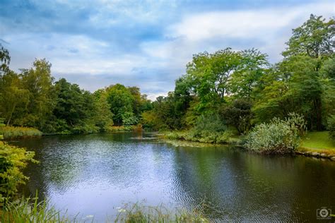Beautiful Pond Background High Quality Free Backgrounds