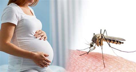 Counseling Plays A Key Role In Preventing Sexual Transmission Of Zika