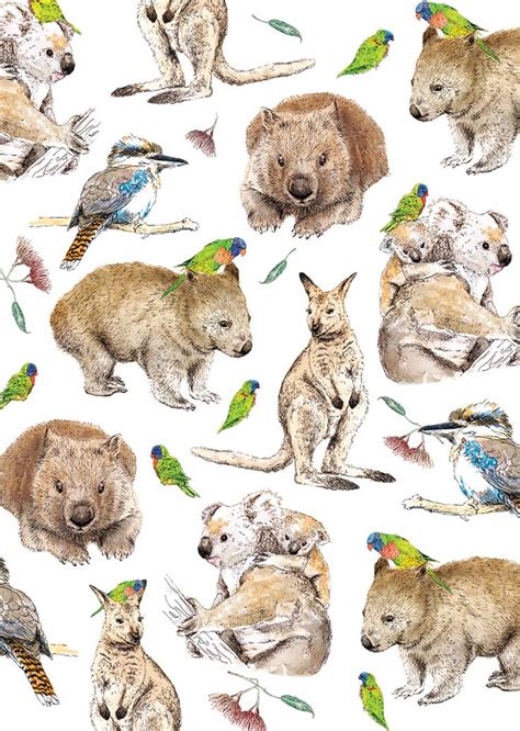 Australia On My Mind - alykat creative | Australian animals, Kangaroo