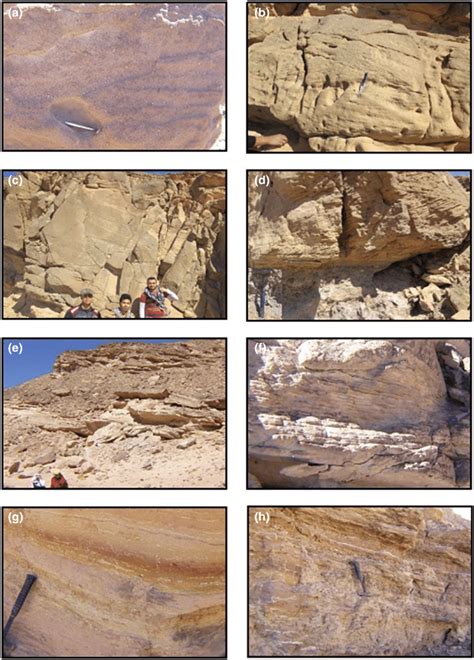 Lithostratigraphic Setting Of The Nubia Sandstone In Gebel Duwi Area