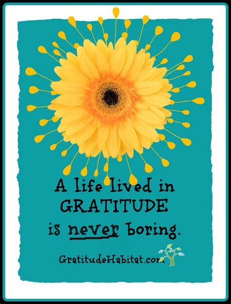 Gallery Gratitude Quotes Attitude Of Gratitude Gratitude